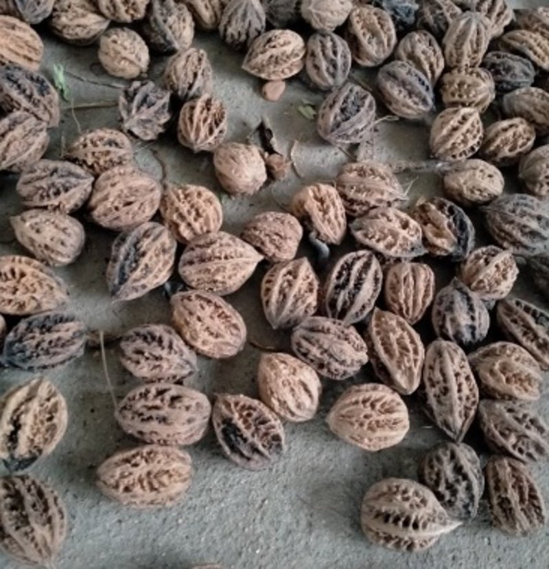黄山农产品,那一抹自然的馈赠