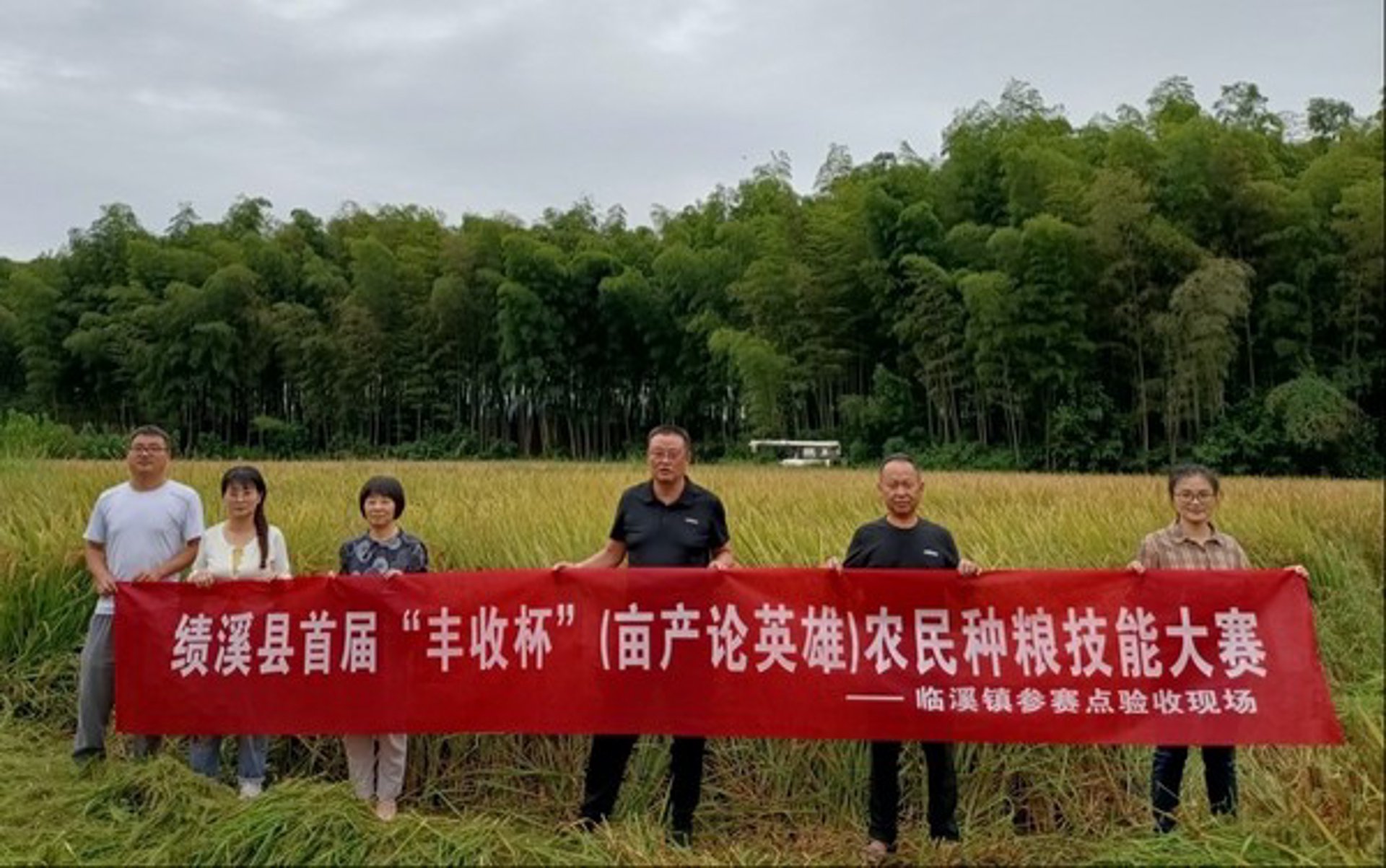 有机蔬菜种植:揭开绿色生活的新篇章
