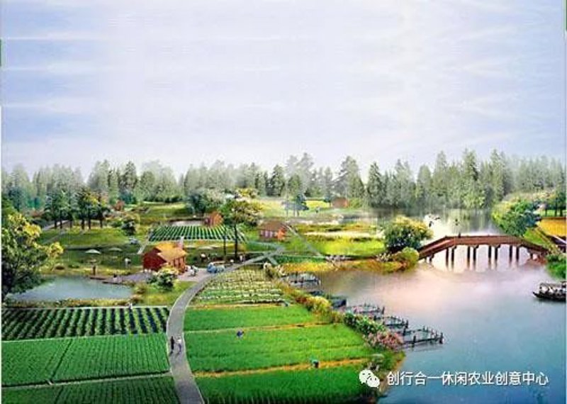 黄山农产品，一片绿色的宝地