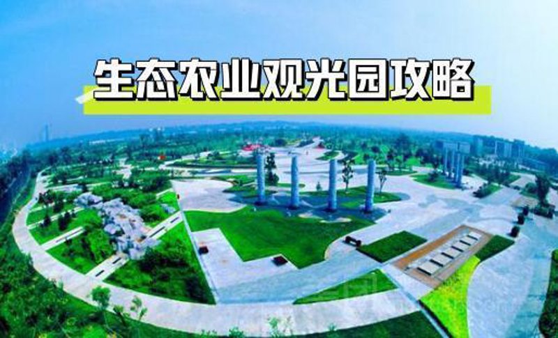 黄山，被誉为“天下第一奇山”，不仅以其绝美的自然风光著称，更因其丰富的农产品资源闻名遐迩。本文将通过步骤化教学的方式，详细解析如何更好地利用这些优质农产品资源。