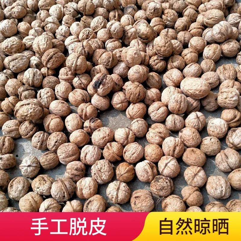 茶叶种植基地：从新手到专家的种植之旅
