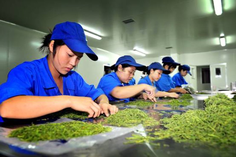 黄山脚下，千年古韵——徽州的美味珍藏