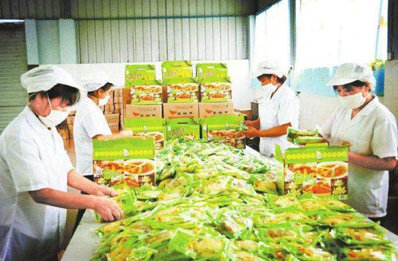 有机蔬菜种植:从新手到高手的转变